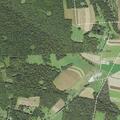 Person struck by tree in woods, unconscious