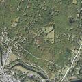 35-year-old woman falls, injures ankle at dog park