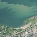 Pedestrian struck at Edgewater dog beach