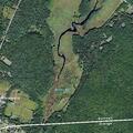Tree down blocking County Route 61 roadway