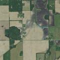 Man yelling in field on Tamarack Road