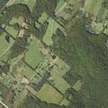 82-year-old male with rash on back at Wilbur Hill Rd