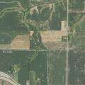 75-year-old woman with head injury near Blue Grass