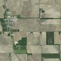 Welfare check for man sitting under tree in unusual area
