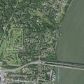 Injured deer impaled on fence at Grand Avenue
