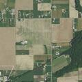 Loose cattle near roadway on County Road 43