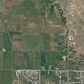 Person bitten by dog at W 1400 N in Brigham City