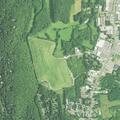 Woman evaluated after fainting episode at Willow Springs