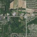 Person injured after fall near Tulip Lane