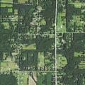 Person reporting heart problem in Swanton