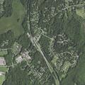 21-year-old female feeling faint at Hosner Mountain Rd