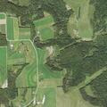 Officer investigates forestry violation at residence