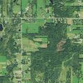 18-year-old female having chest pains at Princeton Rd