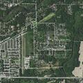 Person experienced fall injury near Blue Jay Way