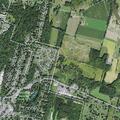 Intoxicated man stumbling on East Avenue