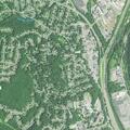 Person vomiting near Woodside Avenue in Waterbury