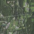 Person with allergic reaction and arm swelling near Pine Drive