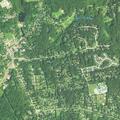 Male fall victim with pneumonia at Huckleberry Acres