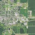Loose huskies reported near Washington Street