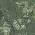 Tree partially blocking Route 187 roadway