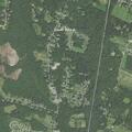 Medical incident near Brookwood Drive in Westport