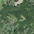 90-year-old woman with abdominal pain treated at Pine Bush