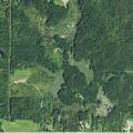 Car hits deer causing crash and injury on Gar Highway