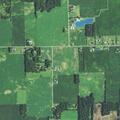 Loose livestock reported in yard near roadway