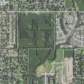 Teen female reported suicidal near East 47th Street