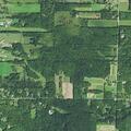 Resident reports fear of mother at Laskey Road home