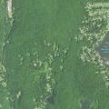 60-year-old man having a seizure in Terryville