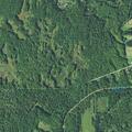 79-year-old man with fever and vomiting at Shaffer Rd