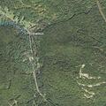 Officer assists possibly lost man in forest