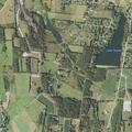 78-year-old male faint and dizzy in Springville