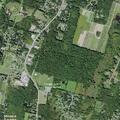 Adult female injured leg in wooded area of Modena park