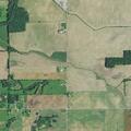 Vehicle hit deer on County Road 15