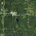 Tree down on wires near Pine Grove Road