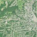 81-year-old woman reported with stroke at Tulip Street