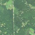 Man falls 20 feet from tree, conscious but altered