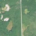 Child injures knee on yellow trail in state forest