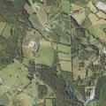Person fell and is dizzy at Springville Route 3013