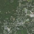 Person fallen near Forest Street in Harwich