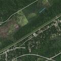 Female feeling dizzy after drinking dish soap in Pines