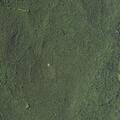 Automatic fire alarm at cell tower on Fire Tower Trl