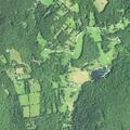 91-year-old woman with abdominal pain in South Kent