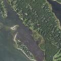 Fire alarm investigated on Planting Island