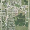 Dog bite case reported near Main Street in Grimes