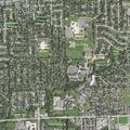 Person having diabetic problems near Bolingbrook