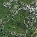 Male with partial airway obstruction reported in Woodridge