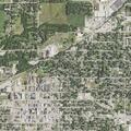 Youths reported going through yard and trash